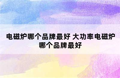 电磁炉哪个品牌最好 大功率电磁炉哪个品牌最好